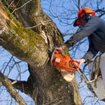 Why environmentally friendly coffins are important